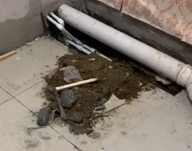 宁远卫生间漏水检测哪家好
